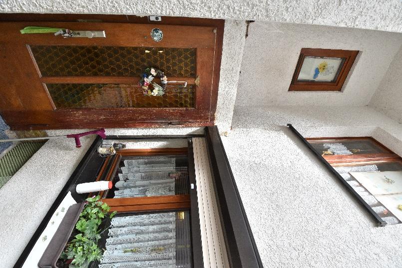 Holztür mit Gitterglas, Eingangsbereich mit Pflanzen und Teppich, Wand mit kleinem Fenster