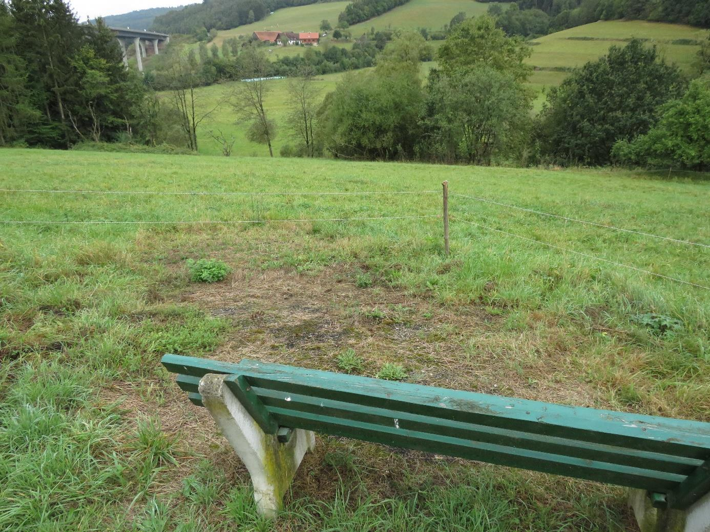 Grünes Feld mit Holzbank im Vordergrund, Drahtzaun und bewaldete Hügel im Hintergrund, landwirtschaftlich genutztes Grundstück in Unterriedenberg