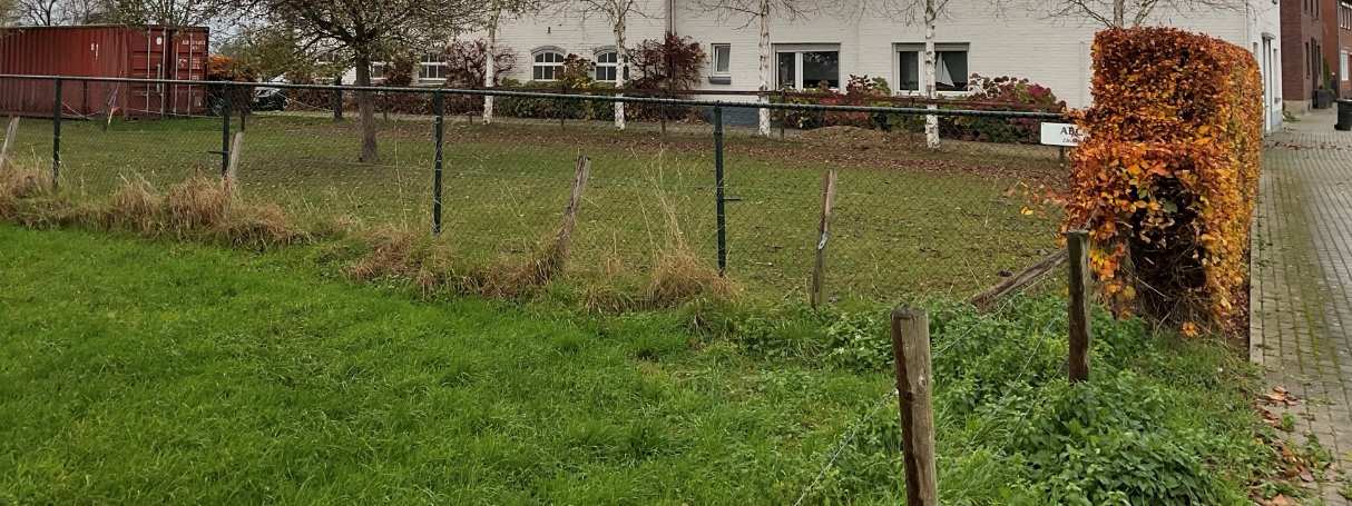 Grüner Rasenbereich mit Zaun, Sträuchern und einem Gebäude im Hintergrund am Grundstück Birder Str. 81 in Gangelt