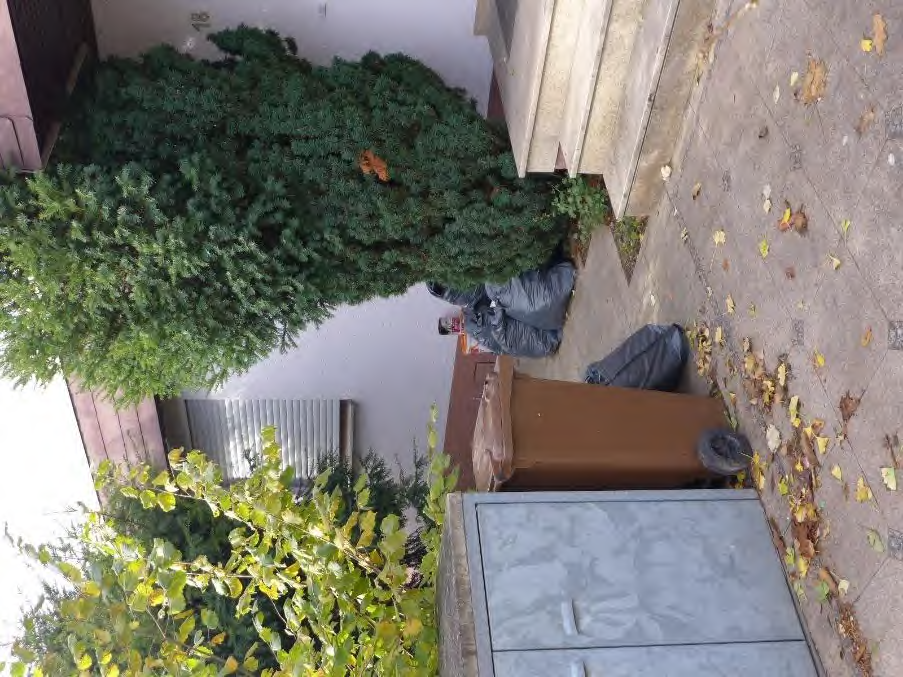 Gartenbereich mit Laub, Sträuchern, Mülltonne und Abfallbeuteln neben einem Gebäude in Hattersheim