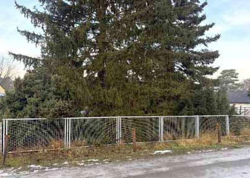 Sonstiges — Unbebautes Grundstück in Königs Wusterhausen