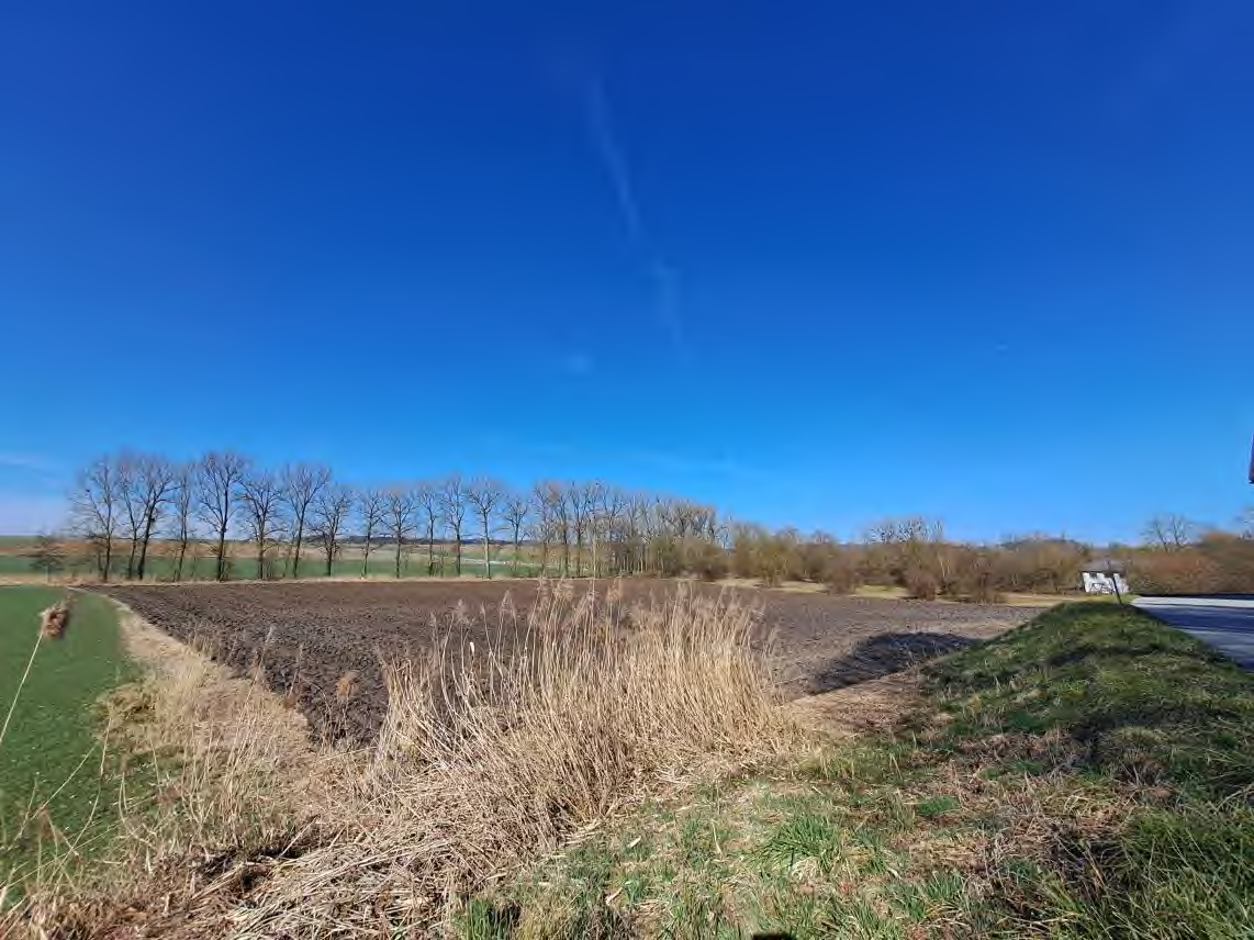Landschaftsaufnahme mit ackerbaulich genutztem Grundstück, trockenem Gras und Bäumen unter klarem Himmel
