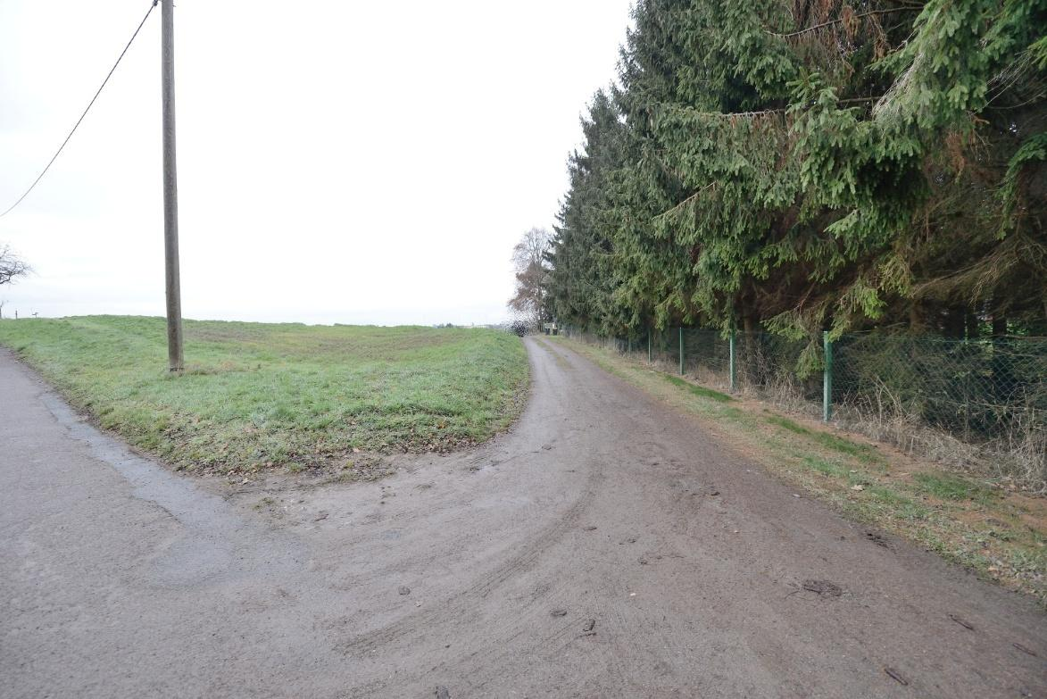 Grasbewachsener Grundstücksteil mit Bäumen und Zaun entlang einer unbefestigten Straße in Grimma-Nerchau
