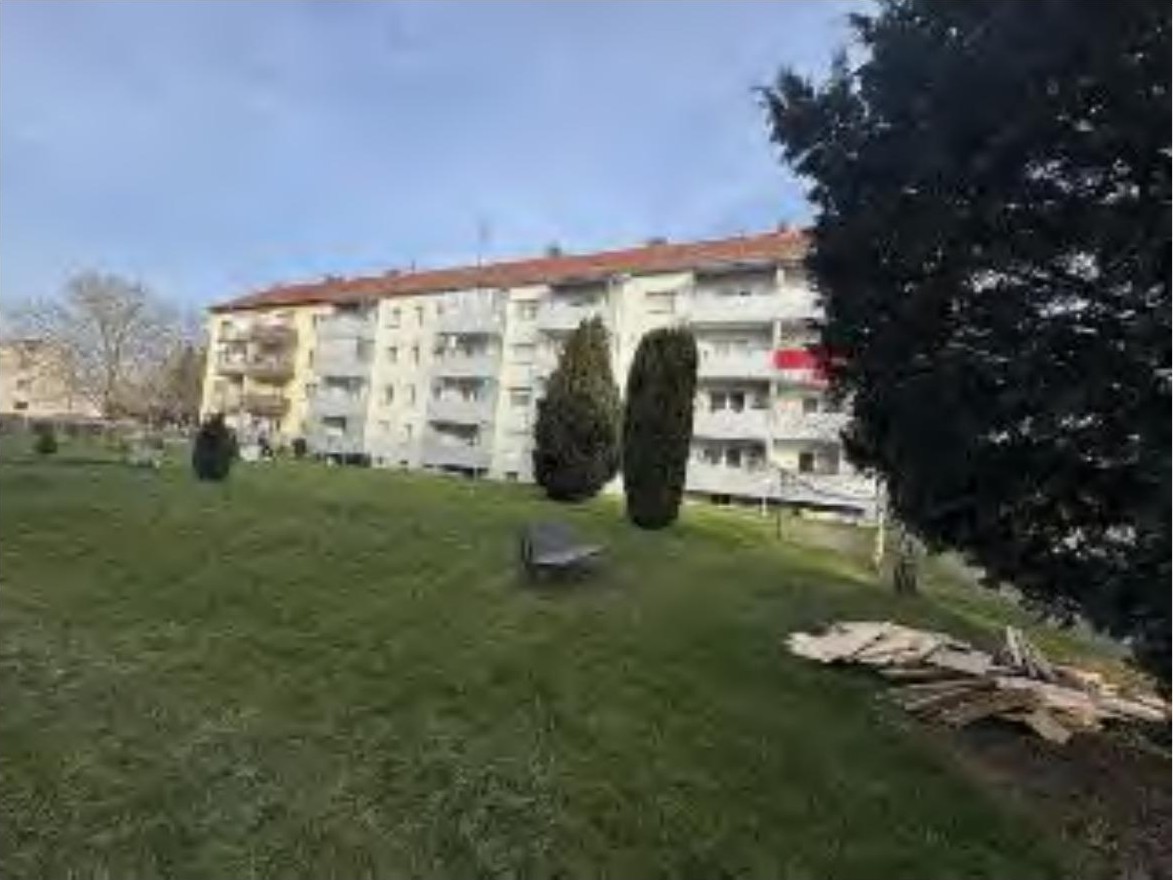 Grüner Gartenbereich mit Hecken, Bank und Holzstapel vor einem Mehrfamilienhaus in Groß-Zimmern