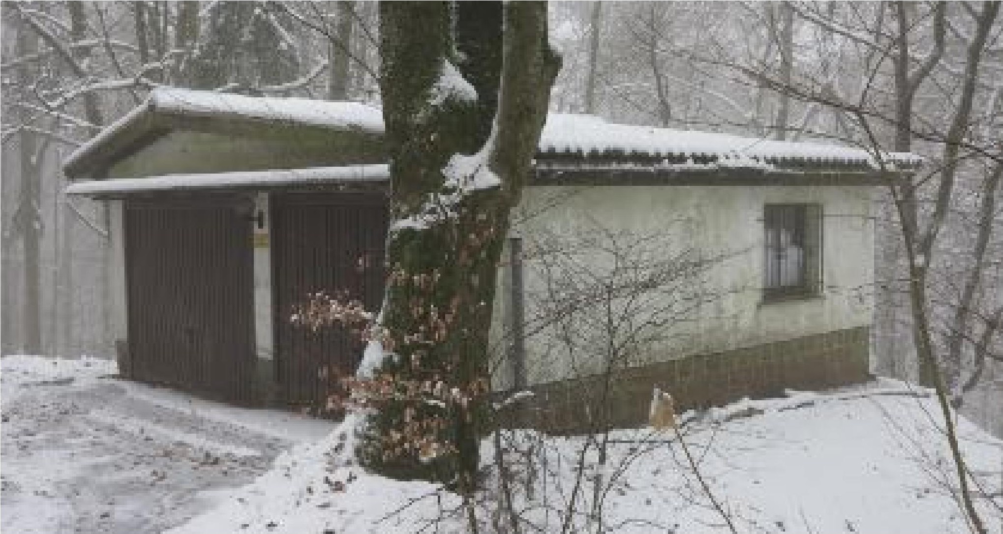 Sonstiges — Land- und forstwirtschaftlich genutztes Grundstück in Sonneberg