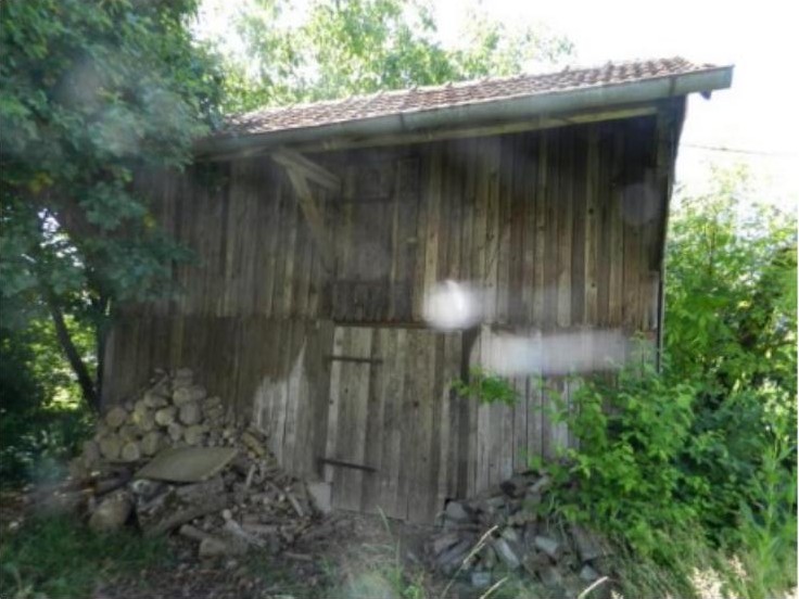 Seitenansicht eines hölzernen Schuppens mit Ziegeldach, umgeben von Grün und Holzstapel, im Außenbereich eines Einfamilienhauses