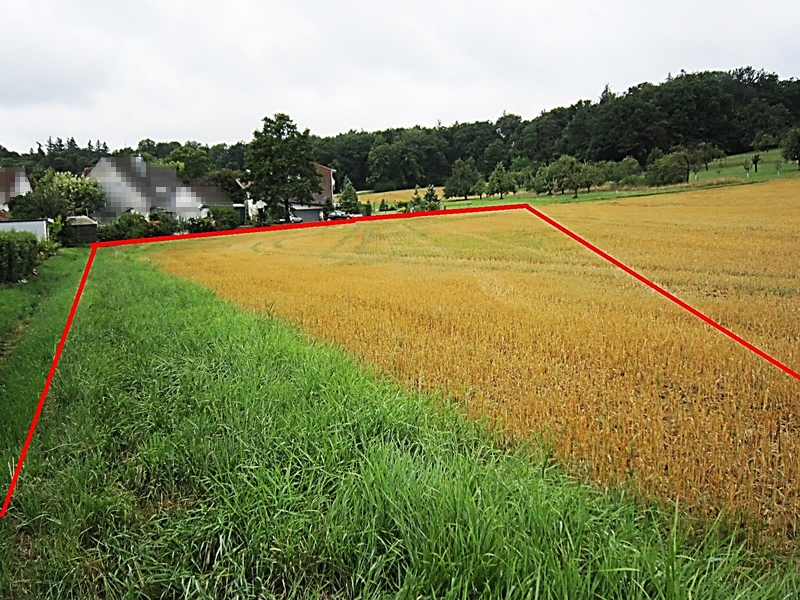 Sonstiges — Land- und forstwirtschaftlich genutztes Grundstück in Kirchheim unter Teck