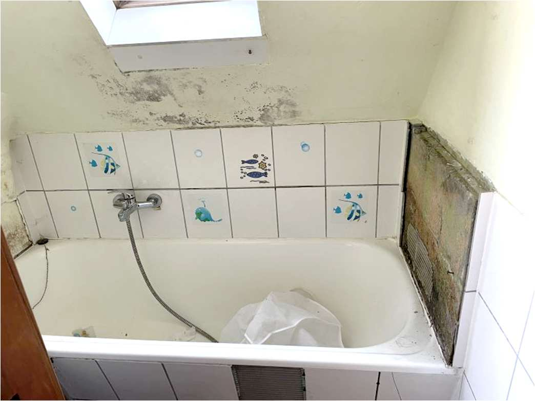 Badezimmer mit Badewanne, Fliesenwand mit Fischmotiven und sichtbaren Schäden an der Decke und Wand