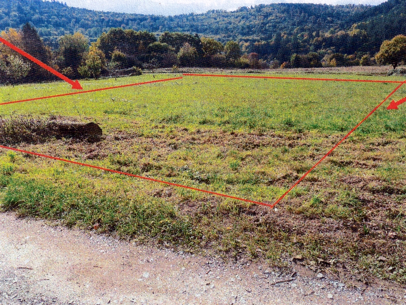 Sonstiges — Immobilie in Neckargemünd