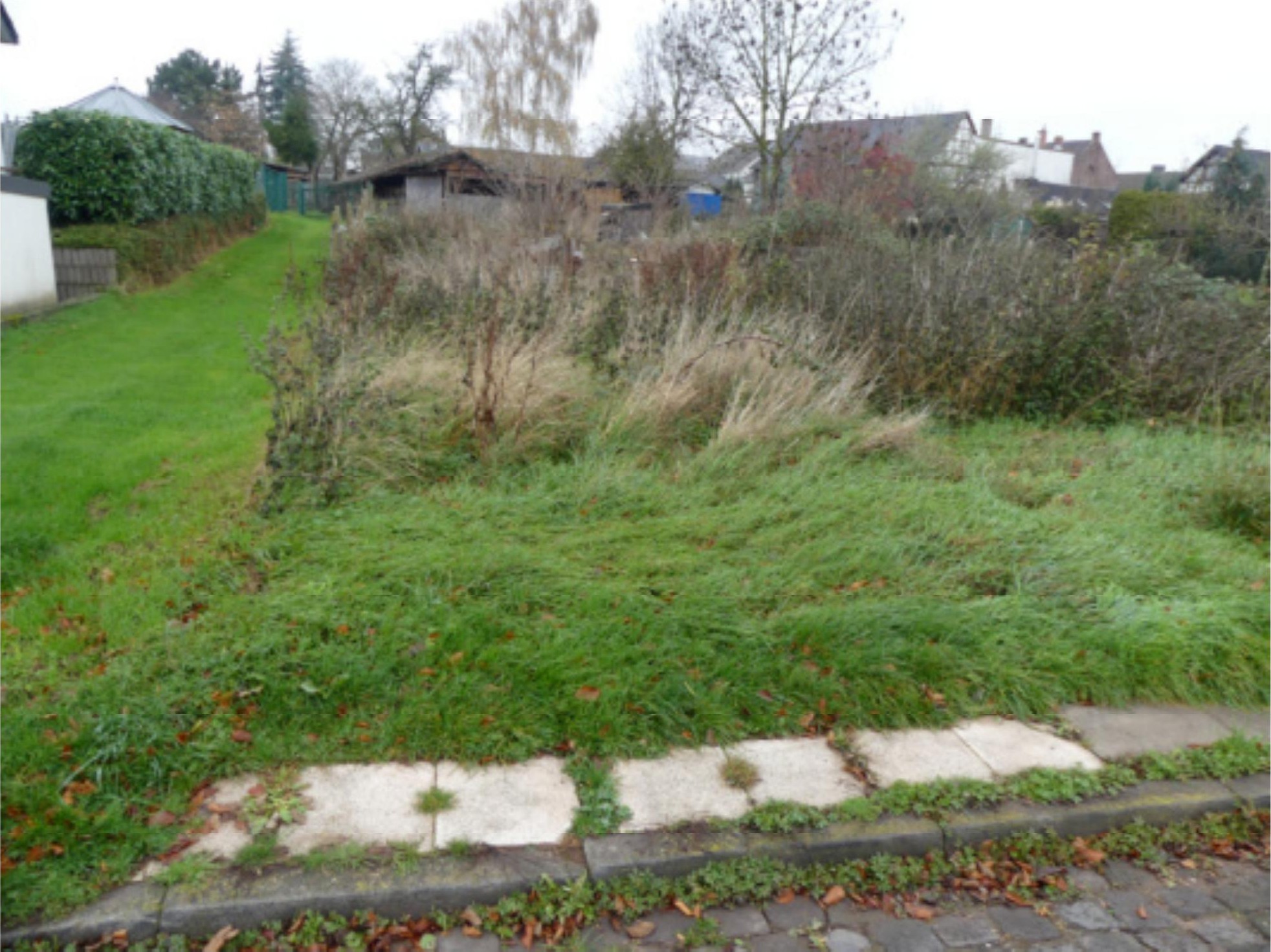 Überwuchertes Grundstück mit Gras, Unkraut und Sträuchern, gepflasterte Kante im Vordergrund, Hintergrund mit Hecken und Gebäuden