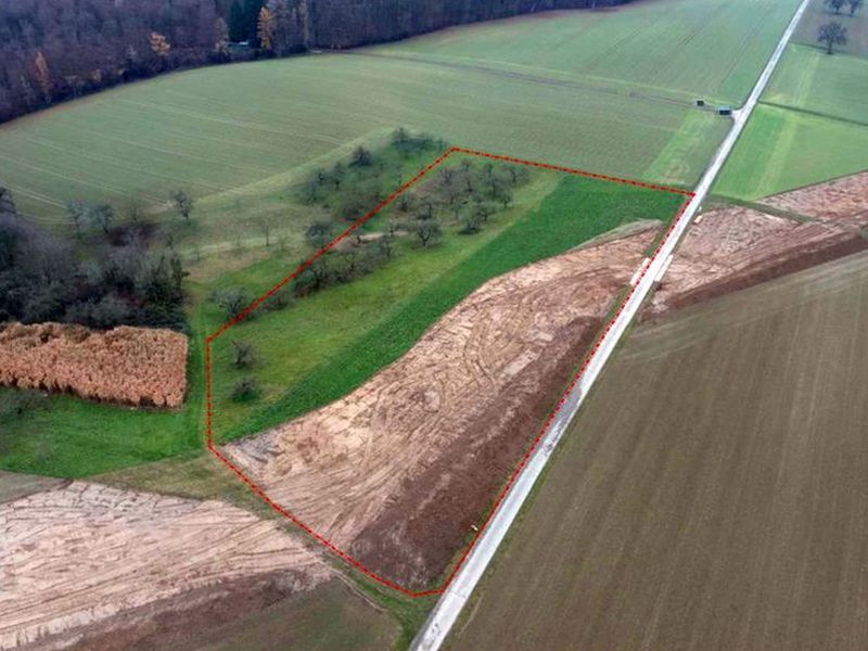 Sonstiges — Grundstück in Meckesheim