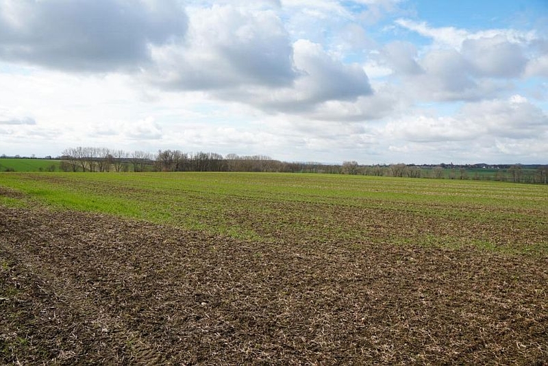 Sonstiges — Grundstück in Wanzleben-Börde OT Klein Wanzleben