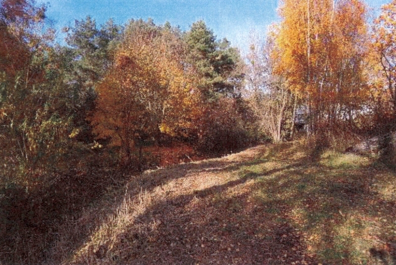 Sonstiges — Immobilie in Schermen