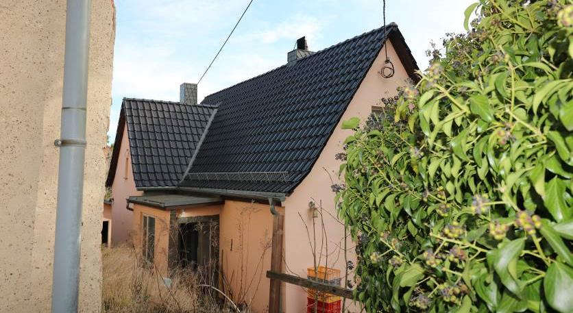 Rückansicht eines Einfamilienhauses mit dunklem Ziegeldach und verwitterter Fassade, umgeben von Grünanlagen und einem Busch im Vordergrund