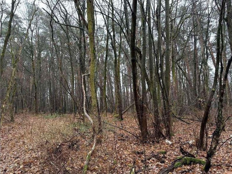 Sonstiges — Grundstück in Niedergörsdorf OT Dennewitz