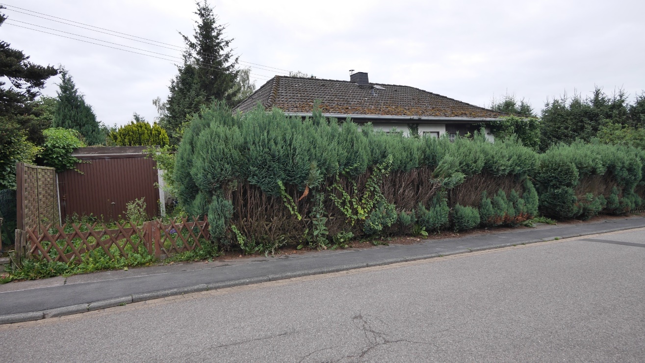 Seitenansicht eines Einfamilienhauses mit Dach, Hecke und Zaun an der Keltenstraße 31 in Kall