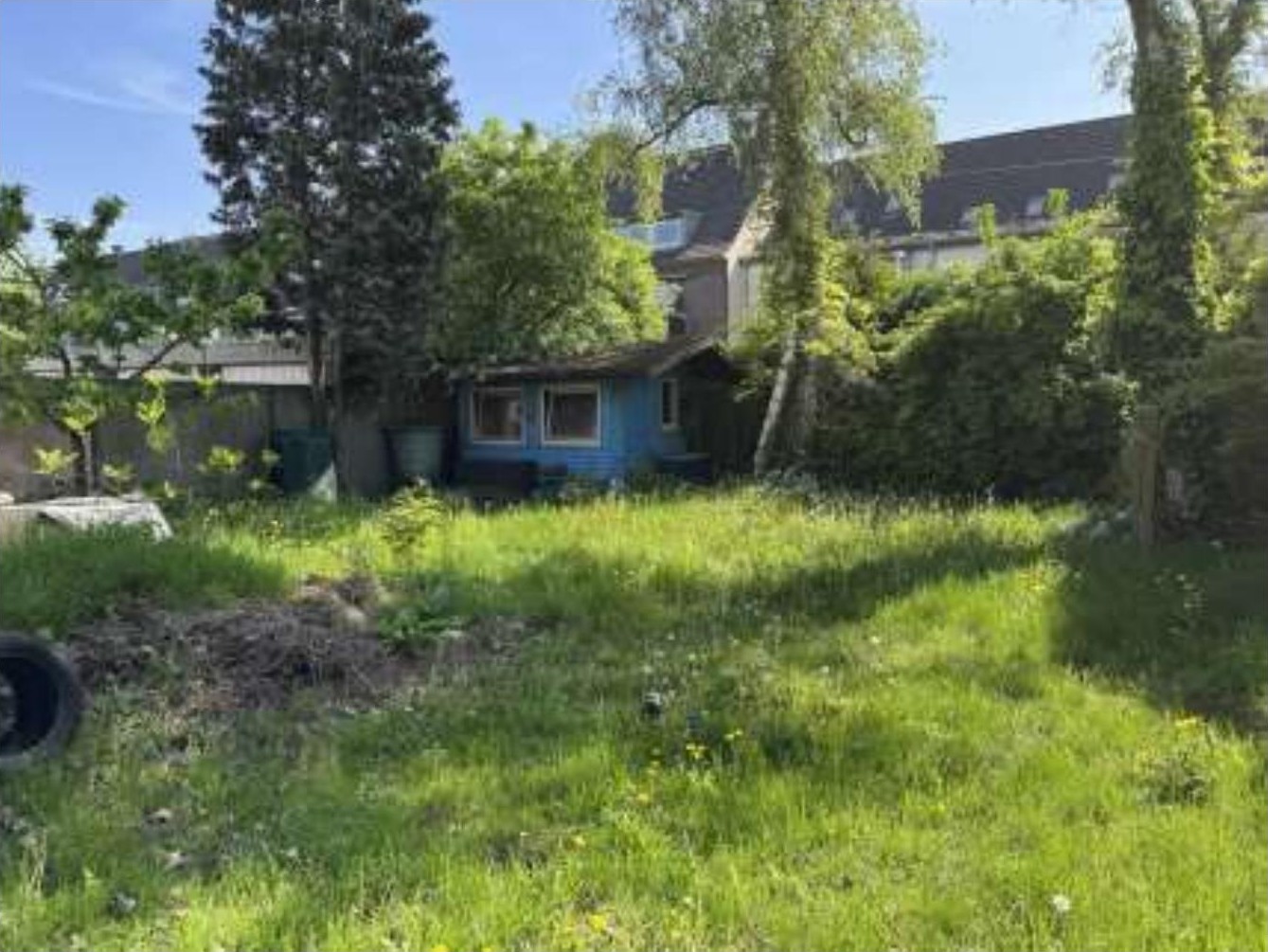 Überwuchertes Grundstück mit Gras, Bäumen, Sträuchern und einem kleinen blauen Schuppen im Hintergrund