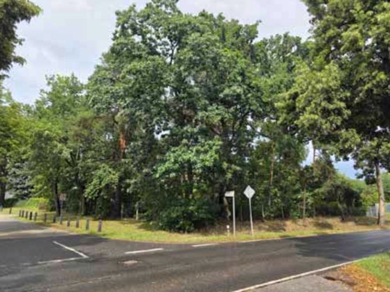 Straßenansicht — Unbebautes Grundstück in Schulzendorf, 15732