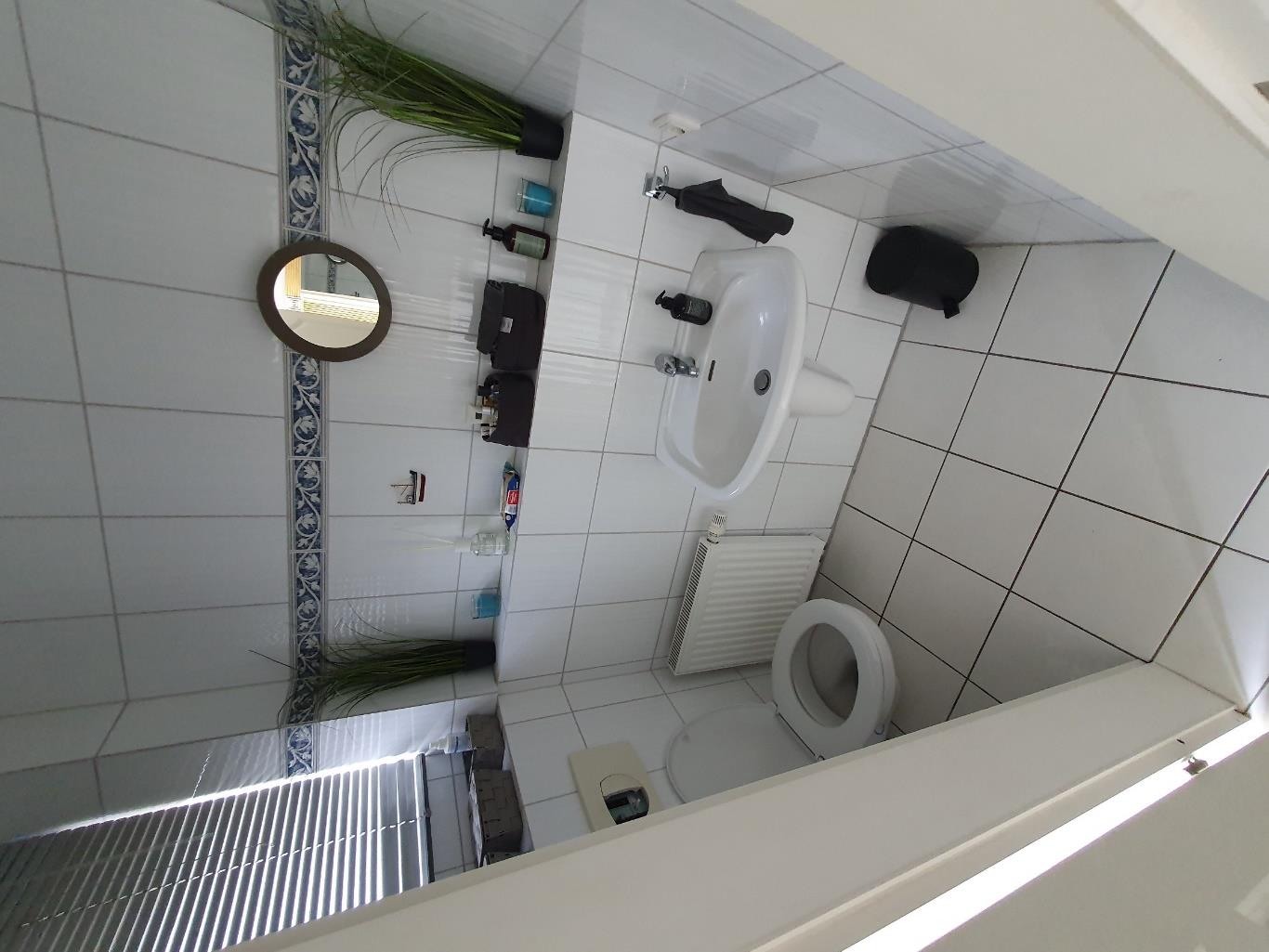 Badezimmer mit weiß gefliesten Wänden, Toilette, Waschbecken, runder Spiegel und dekorativen Pflanzen. Fenster mit Jalousien und Heizkörper sichtbar
