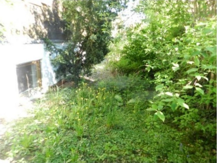 Gartenbereich mit Grünflächen, Sträuchern und Blumen neben einem Gebäude mit Fenster in Seukendorf, Tannenstraße 1