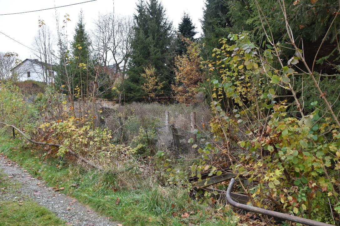 Garten — Grundstück in Neumark, gelegen am Ziegelweg/Neumarker Kirchsteig