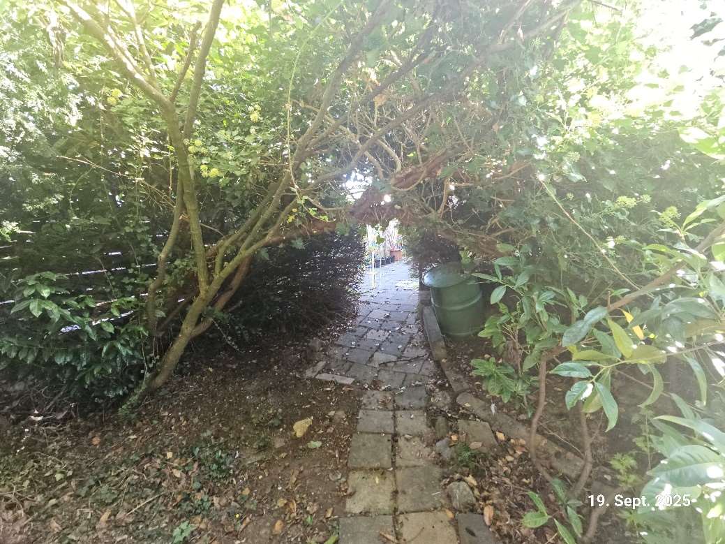 Gartenbereich mit steinigem Pfad, üppiger Vegetation und einem grünen Fass am Rand