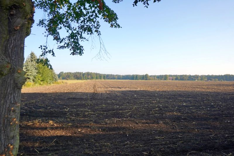 Garten — Land- und forstwirtschaftlich genutztes Grundstück in Bahnsdorf