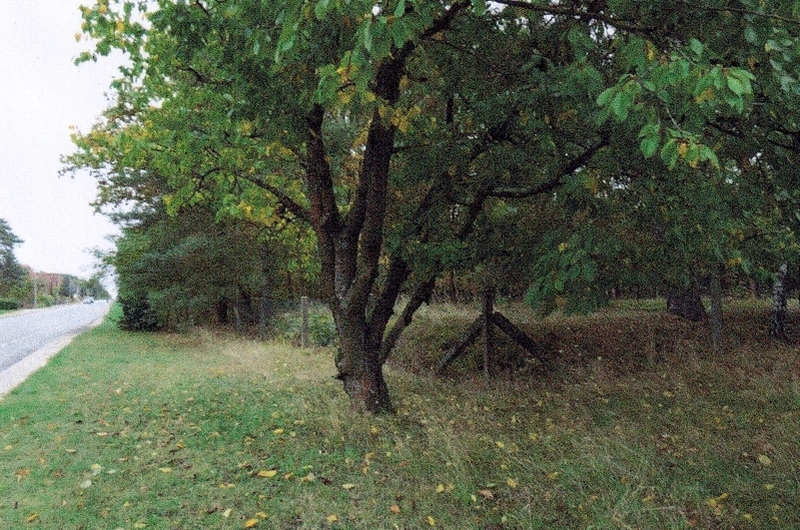 Garten — Sonstiges in Hennersdorf, Finsterwalder Chaussee
