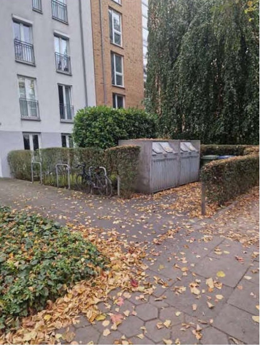 Gartenbereich mit Laub, Hecken, Fahrradständern und Müllcontainern vor einem Mehrfamilienhaus in Hamburg