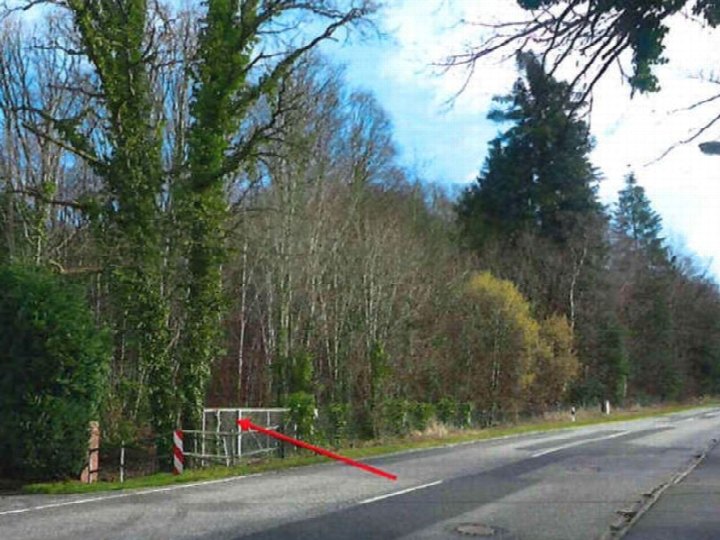 Straßenansicht — Land- und forstwirtschaftlich genutztes Grundstück in Escheburg, 21039