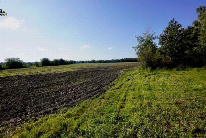 Garten — Land- und forstwirtschaftlich genutztes Grundstück in Bahnsdorf