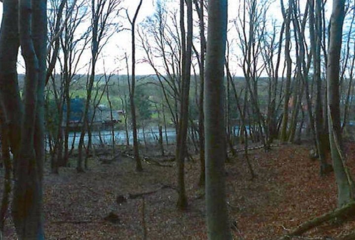 Garten — Land- und forstwirtschaftlich genutztes Grundstück in Escheburg
