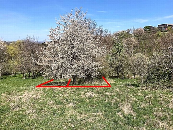 Garten — Unbekannt in Kohlberg, Pfaffentobel