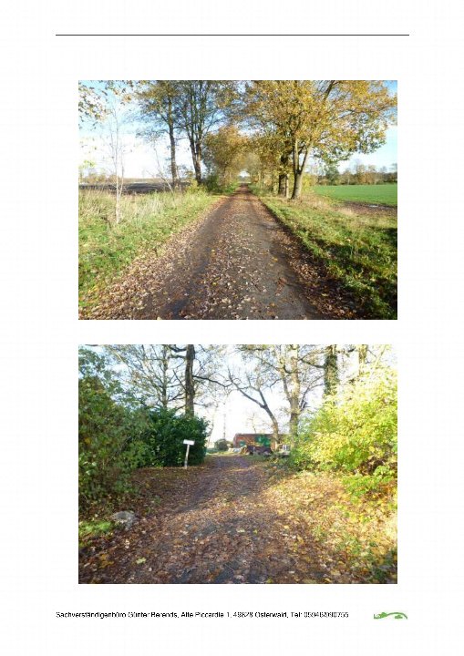 Garten — Unbekannt in Haren, Husberg 2
