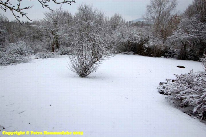 Schneebedeckter Gartenbereich mit kahlen Sträuchern und Bäumen, Schlossgarten in Michelbach/Bilz, 74544