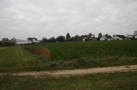 Unbebautes Grundstück in Ichenhausen, Nähe St.-Willibald-Weg, mit Grünfläche und Blick auf Wohnhäuser im Hintergrund unter bewölktem Himmel