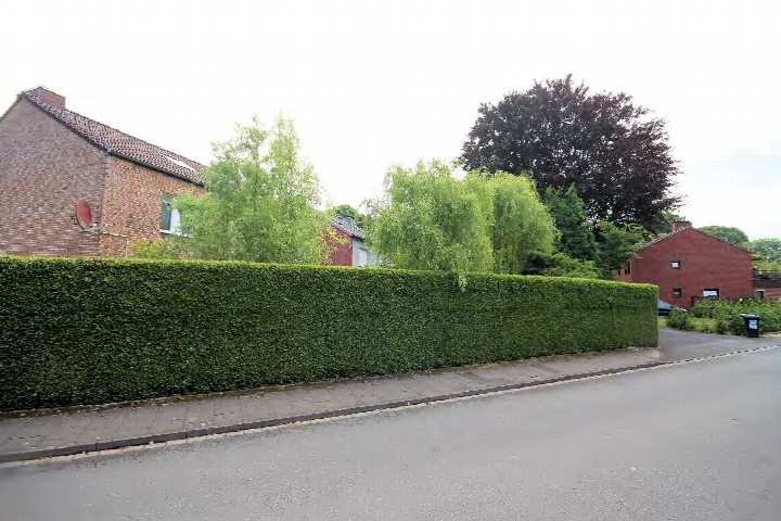 Außenansicht der Garage an der Hülsstraße 111 in Marl mit Hecke, Gehweg und Straße im Vordergrund