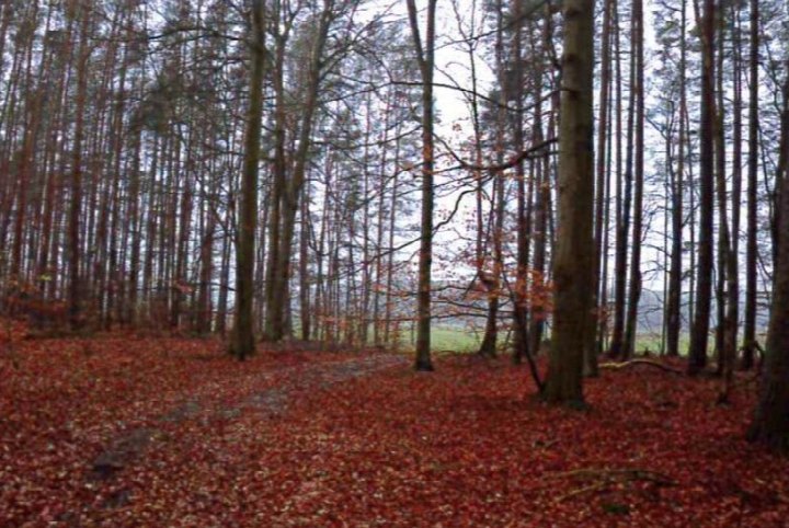 Sonstiges — Land- und forstwirtschaftlich genutztes Grundstück in Wittenberge