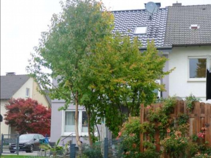 Garten mit Bäumen, Sträuchern und Holzzaun vor einem Wohnhaus in Herford, Rotdornweg 2