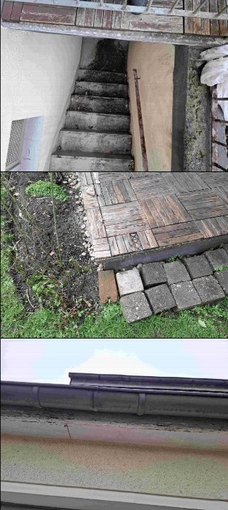 Außenstiege aus Beton mit Moosbewuchs, Holzgeländer und angrenzender Gartenfläche