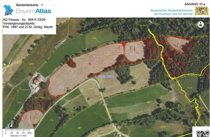 Cadastral-Karte mit Grundstücksnummern und Grenzen, Versteigerungsobjekte in Mauth, BayernAtlas, Maßstab 1:2.500