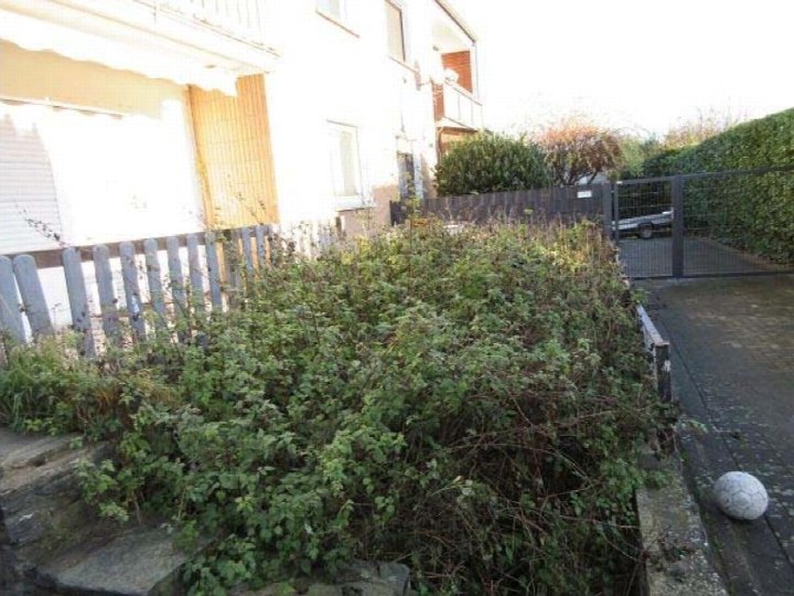 Überwucherter Gartenbereich mit Holzzaun, Steinplatten und Pflanzen vor einem Wohnhaus in Eschweiler