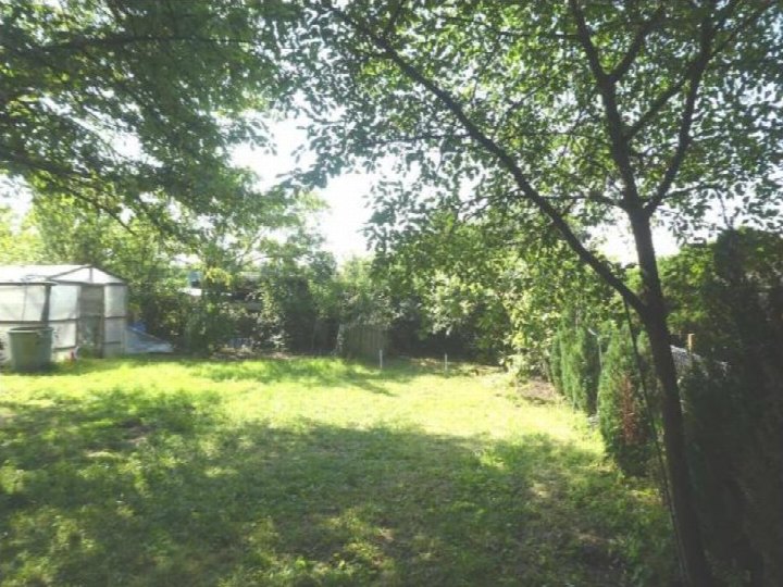 Grüner Gartenbereich mit Bäumen, Sträuchern und einem Gewächshaus im Hintergrund