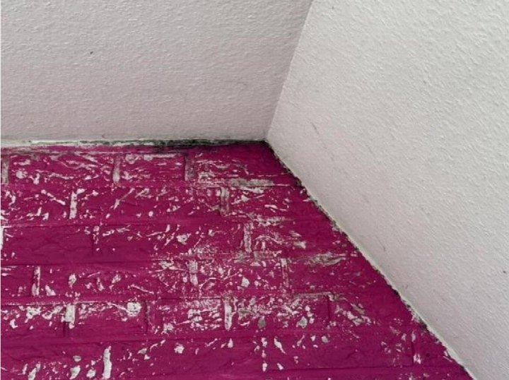 Innenraum mit lila gestrichenen Ziegelboden und weißen Wänden, Ecke eines Raumes