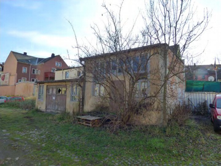 Überwuchertes Grundstück mit verwittertem Gebäude und kahlem Baum in Freital, Zur Lessingschule