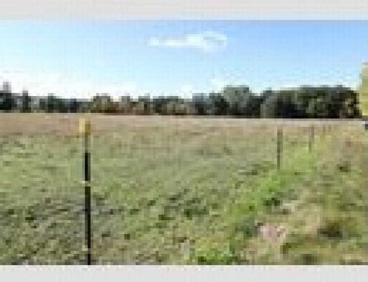Grasbewachsener Acker mit Zaunpfosten und Baumreihe im Hintergrund, nördlich der Elsterwerdaer Straße in Großkmehlen