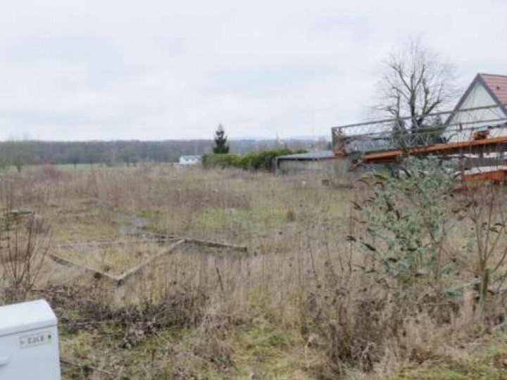 Überwuchertes Grundstück mit trockenem Gras, Holzrahmen und Blick auf ein Gebäude im Hintergrund in Löhne, Ellerbuscher Straße 128