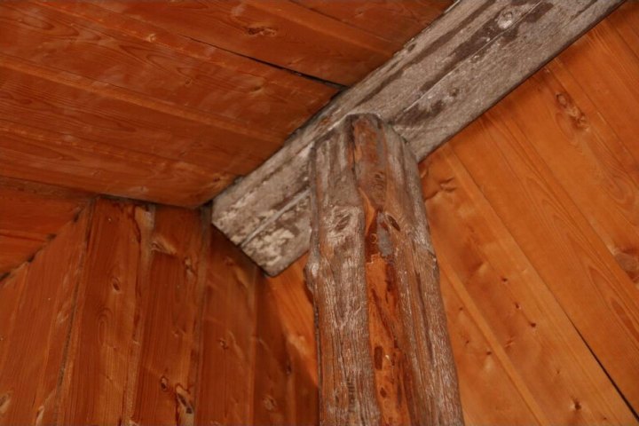 Innenansicht einer Garage mit Holzverkleidung und tragenden Balken an der Ecke