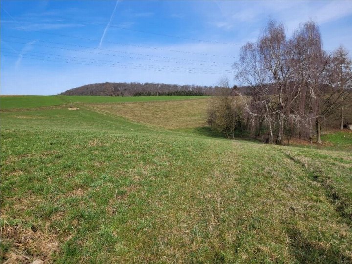 Grünes Feld mit Bäumen und Hügeln im Hintergrund, landwirtschaftlich genutztes Grundstück in Steffenberg