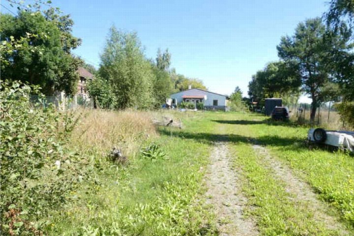 Überwuchertes Grundstück mit Gras, Bäumen und einem Weg, im Hintergrund ein Gebäude in Stadtilm, Lohmühlenweg 22